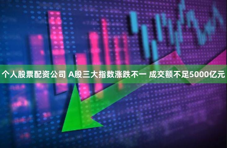 个人股票配资公司 A股三大指数涨跌不一 成交额不足5000亿元